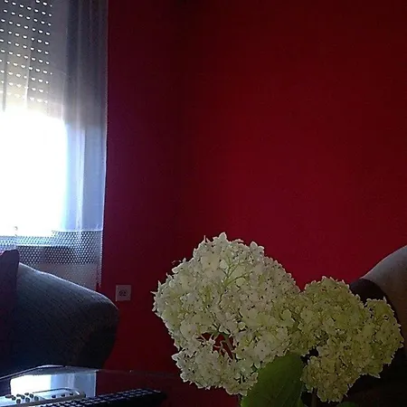 Apartment Felix