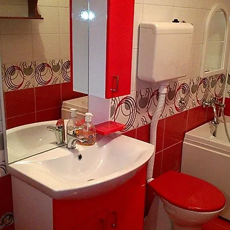 Felix Apartment Soko Banja